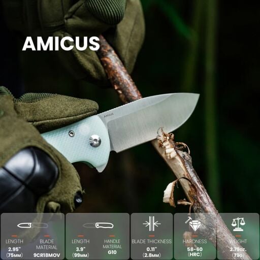 Kizer Amicus